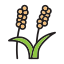 Wheat Icon